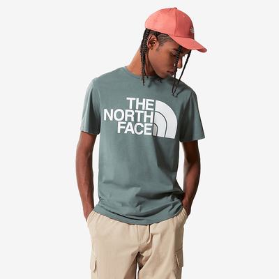 Tricko The North Face Standard Panske Zelene | QFP-204589